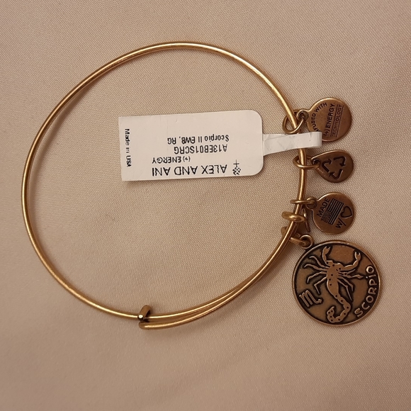 Alex and Ani Scorpio Zodiac Bracelet - Picture 5 of 9